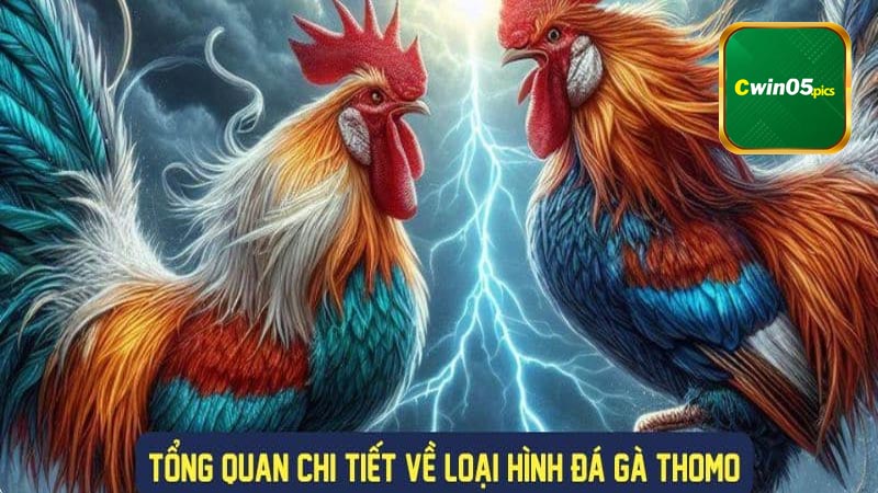 Lịch sử hình thành Đá Gà Thomo