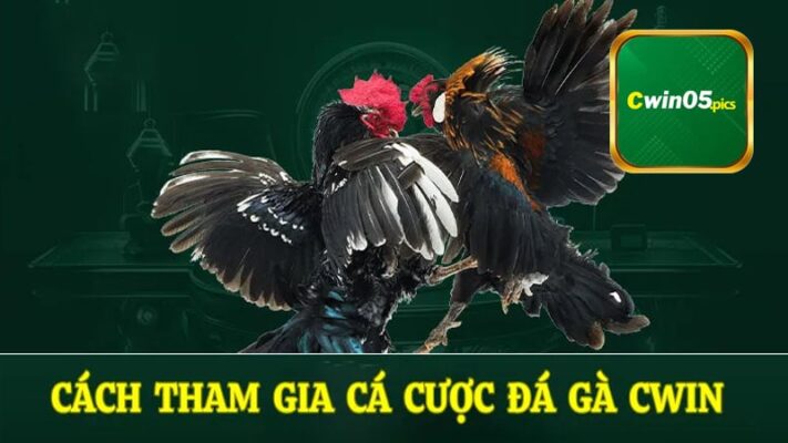 Hướng Dẫn tham gia đá gà Cwin