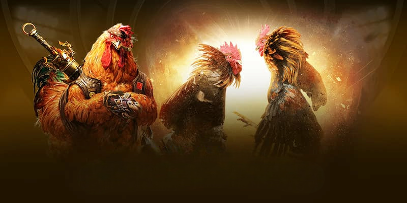 Đá Gà Cwin – Trải Nghiệm Giải Trí Hấp Dẫn Bậc Nhất 2026